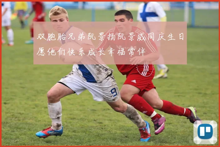 双胞胎兄弟阮景扬阮景威同庆生日愿他们快乐成长幸福常伴